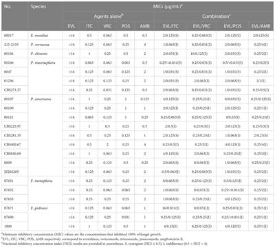 Analysis of the synergistic antifungal activity of everolimus and antifungal drugs against dematiaceous fungi